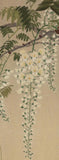 Kōson: Great tit in flight beneath wisteria blossoms (Sold)