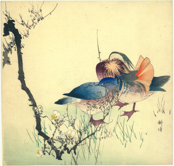 Tsukioka Kōgyo: Two ducks, one sleeping