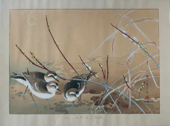 Tsuchiya Rakusan: Snowy Plovers and Pussy Willow