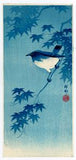 Kōson: Blue Robin on Maple Branch Aizuri-e (Sold)