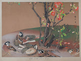 Tsuchiya Rakusan: Quince Flowers and Meadow Buntings (Sold)