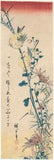Hiroshige: White-eyes (Zosterops japonica: mejiro) on wild chrysanthemums (Sold)