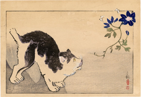 Kiyochika: Cat, butterfly and clematis.