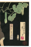 Yoshitoshi: Onoe Kikugorô V as the Hag of Adachi (Sold)