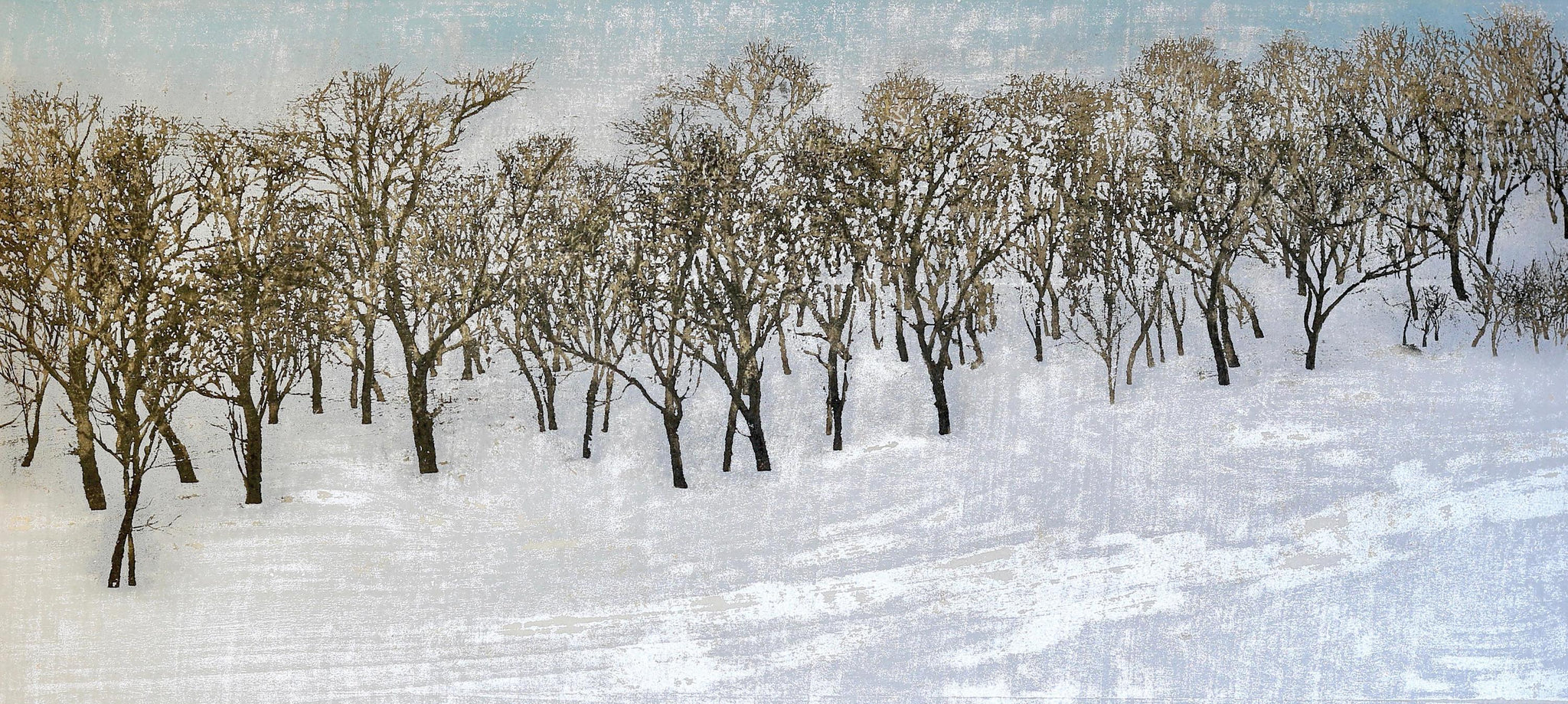 星襄一：一本の木（販売） – Egenolf Gallery Japanese Prints