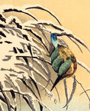 Fuyo (Narazaki Eishô): Kingfisher and snowladen reeds (Sold)