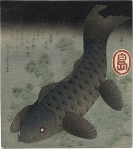 After Gakutei: Surimono of a Swimming Carp Amidst Seaweeds (Meiji edition) (Sold)