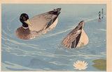 Goyō: Two ducks in a lily pond (Sold)