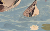 Goyō: Two ducks in a lily pond (Sold)