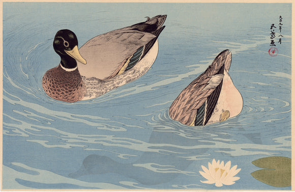 Goyō：ユリの池にいる2羽のアヒル（販売済み）