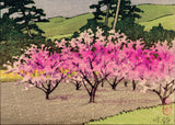 蓮井：富士山と咲く桜（販売）
