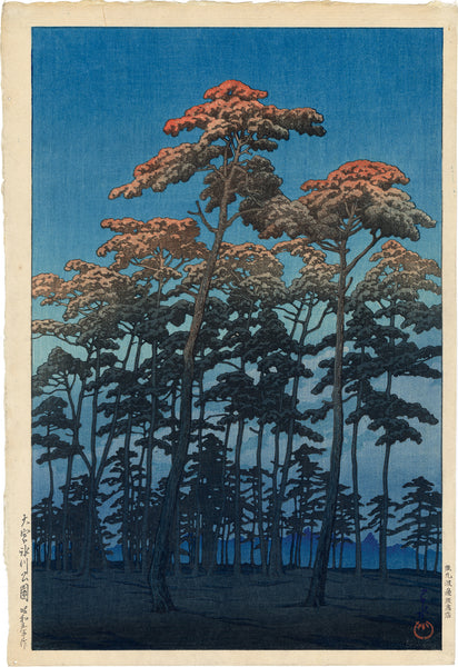 Hiten Limonium PP1/1 版画 HAS560_grande.jpg?v=1646550317