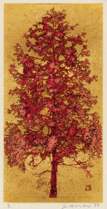 Hoshi Jōichi: Red (Sold)