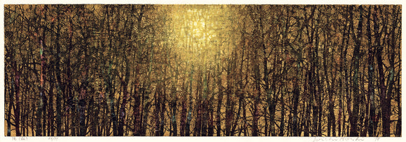 Joichi Hoshi : Sun Light (Forest) (Sold)