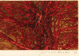 星丈一：red branches (赤い枝) (販売済み)