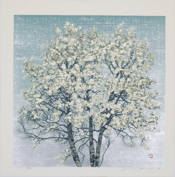 Joichi Hoshi: Magnolia in Bloom (Kobushi)