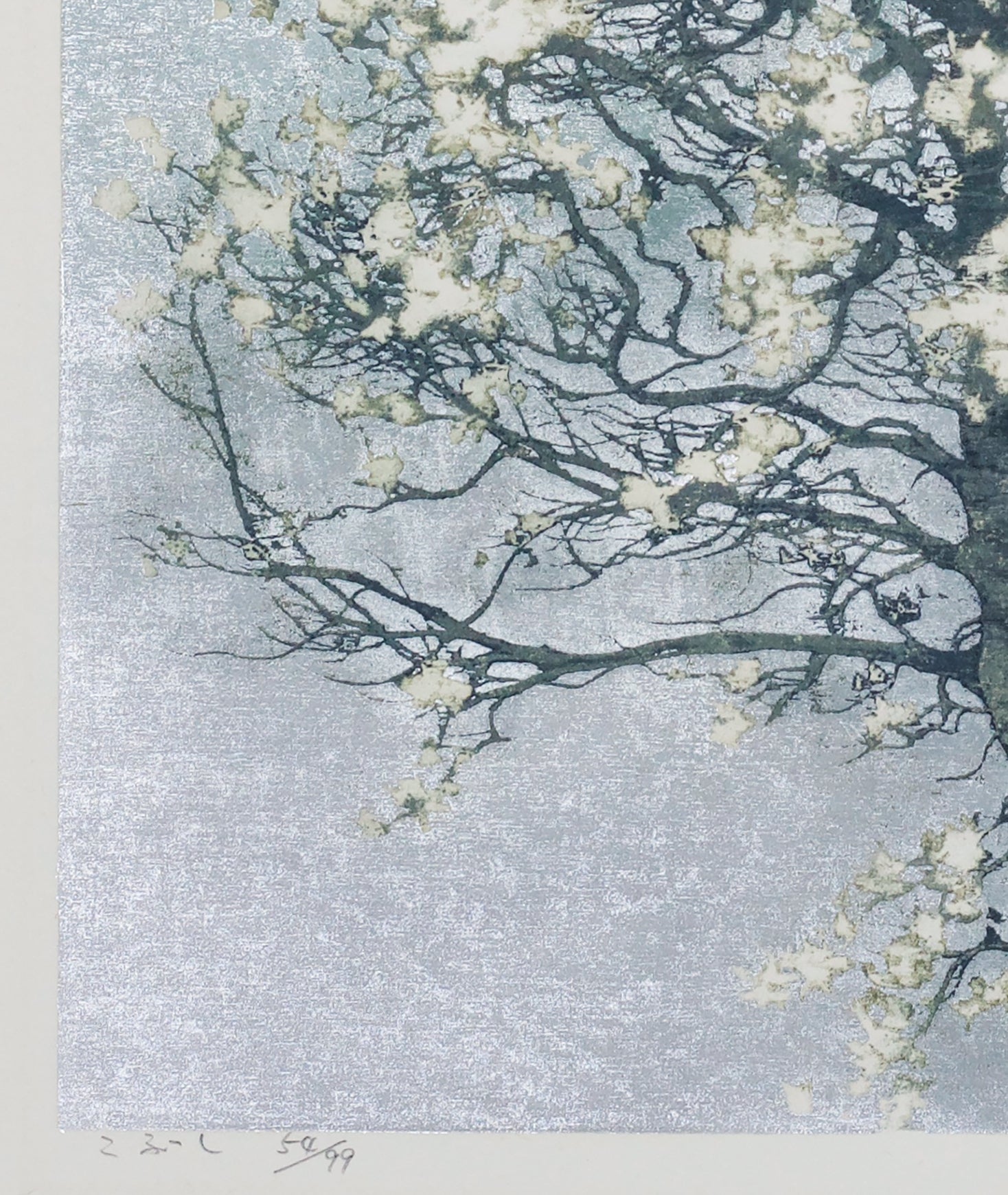✿✿✿はるよこいページ✿✿✿ Joichi Hoshi: Magnolia in Bloom (Kobushi) (Sold) – Egenolf Gallery