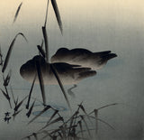 Kōson：Sleeping Ducks by Moonlight（販売済み）