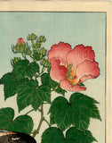 Koson: Flycatcher and Rose Mallow (Sold)