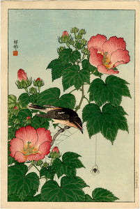 Koson: Flycatcher and Rose Mallow (Sold)