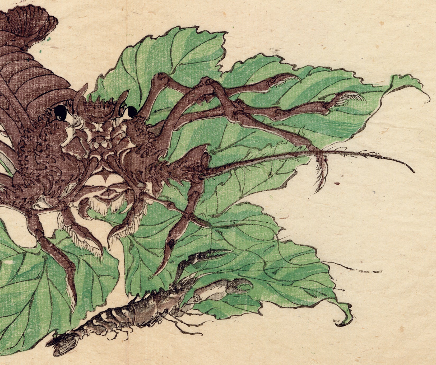 Kawanabe Kyosai 河鍋 暁斎: Lobster and Shrimp (Sold) – Egenolf Gallery Japanese  Prints