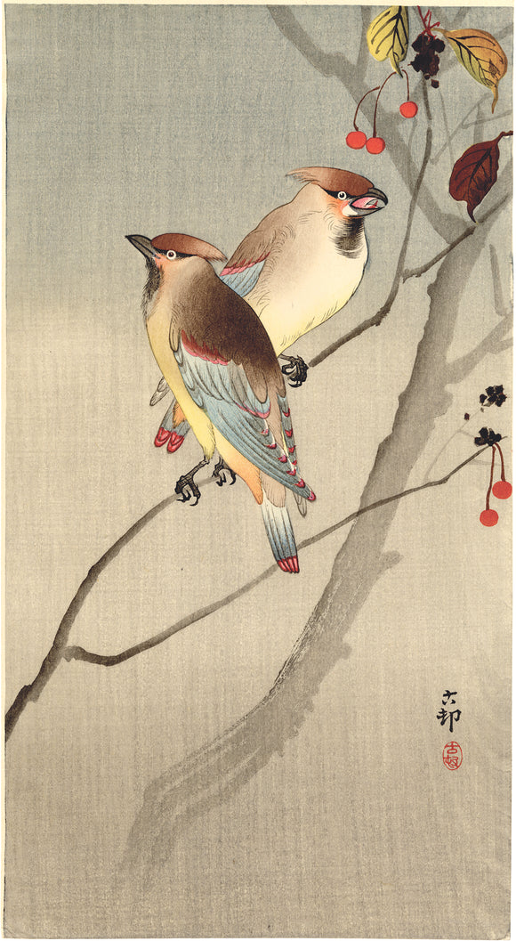 Koson 小原古邨 : Two Japanese Waxwings and Red Berries 枝に連雀 (Sold)