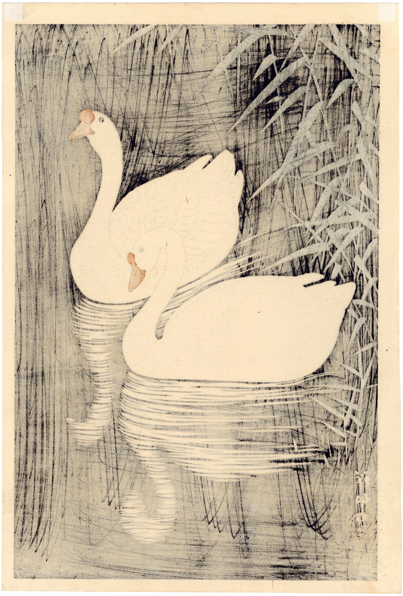 Koson小原古邨：夜に泳ぐ2羽のガチョウ鵞鳥、鵝鳥（販売済み