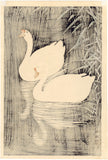 Koson 小原古邨 : Two Geese Swimming at Night 鵞鳥、鵝鳥 (Sold)