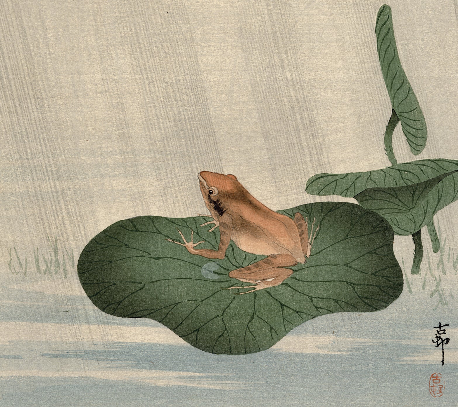 古邨小原古邨：蛙蛙と蓮の葉（販売） – Egenolf Gallery Japanese Prints