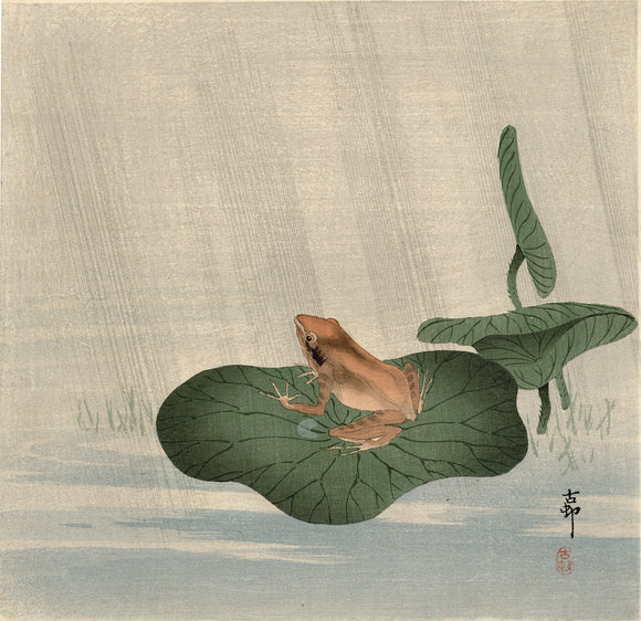 Koson 小原古邨:  蛙 Frog and Lotus Leaf (Sold)