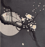 Koson 小原古邨: Flowering Plum and Moon (Sold)