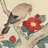 Kitao Masayoshi 北尾政美: Eurasian Jay and Camellia Flowers