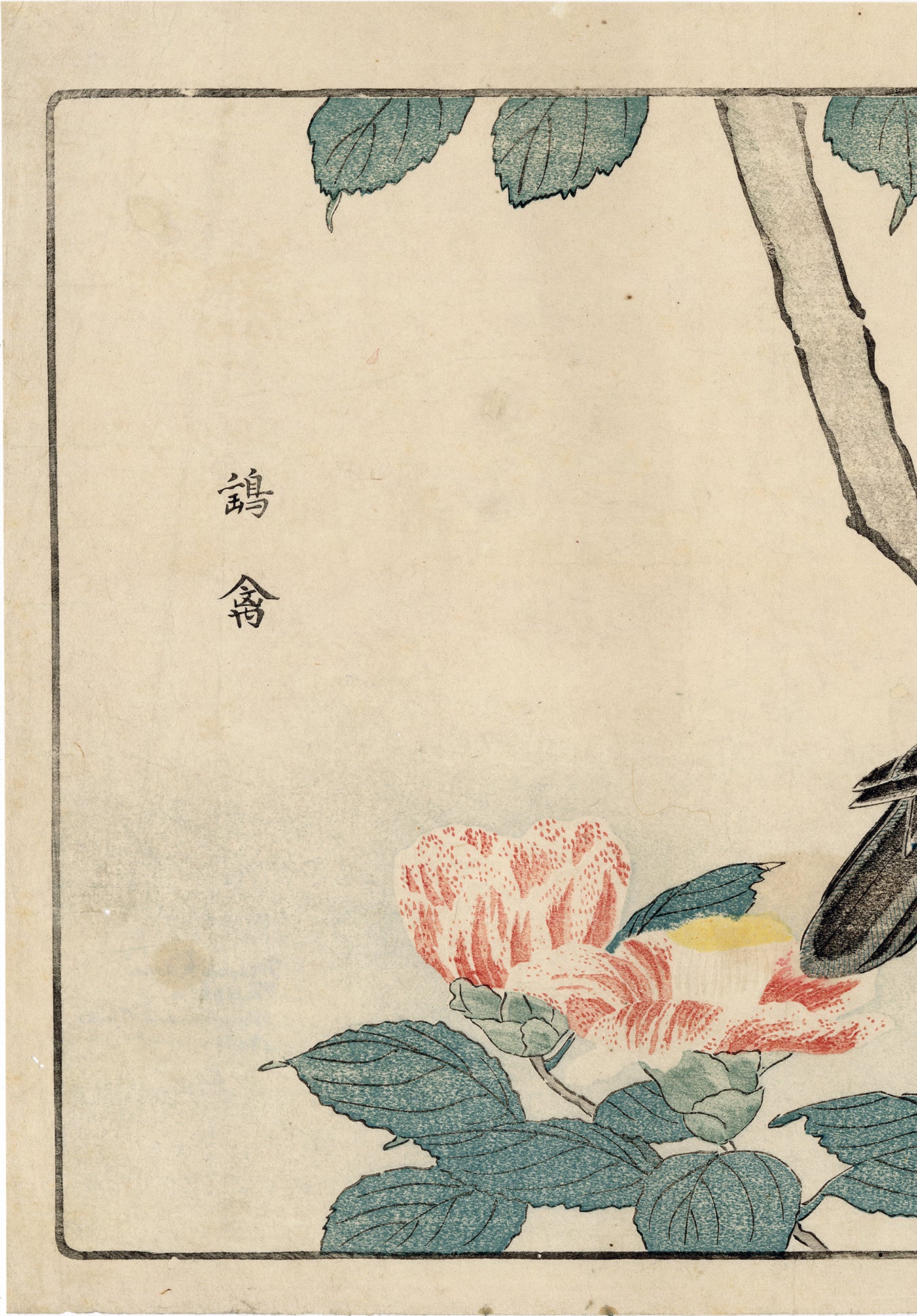 北尾政美 北尾政美：カケスと椿の花 – Egenolf Gallery Japanese Prints