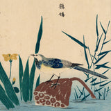 Kitao Masayoshi 北尾政美: Pied Wagtail, Lotus and Iris Plants