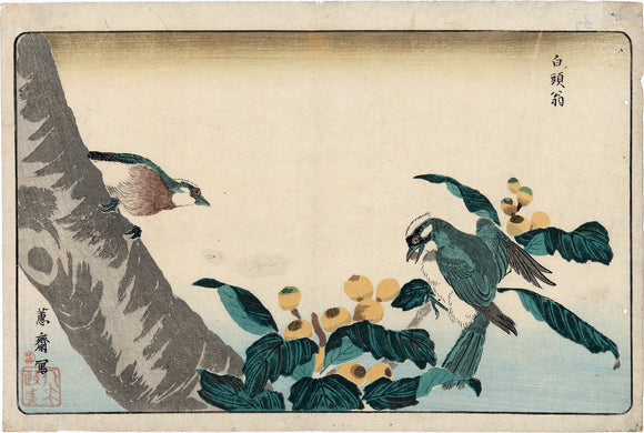 Kitao Masayoshi 北尾政美: Gray Starlings and Loquat Tree