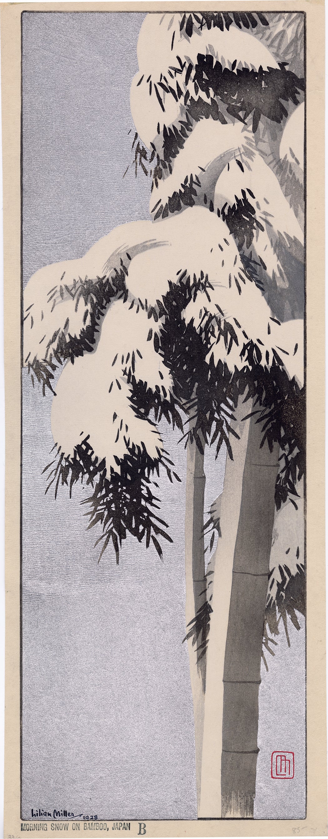 MIC010Scopy2_2048x.jpg?v=