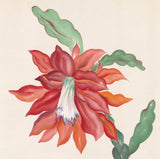 Obata: Large Watercolor Painting of a Blooming Cactus (SOLD)