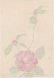 Obata: Watercolor Painting of a Camellia Branch (SOLD)