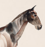 Obata: Watercolor Painting of a Standing Bay Horse