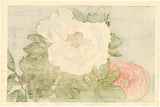 Oda Kazuma: Peony Flowers (Sold)