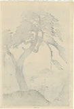 Kasamatsu Shirō: Pine Tree in the Rain (Sold)