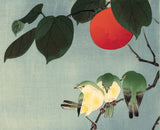 小森宗関（しょうせき）：柿の枝に鳴く鳥（販売）