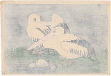 Yamamura Kōka (Toyonari): Pelicans