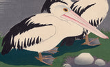 Yamamura Kōka (Toyonari): Pelicans
