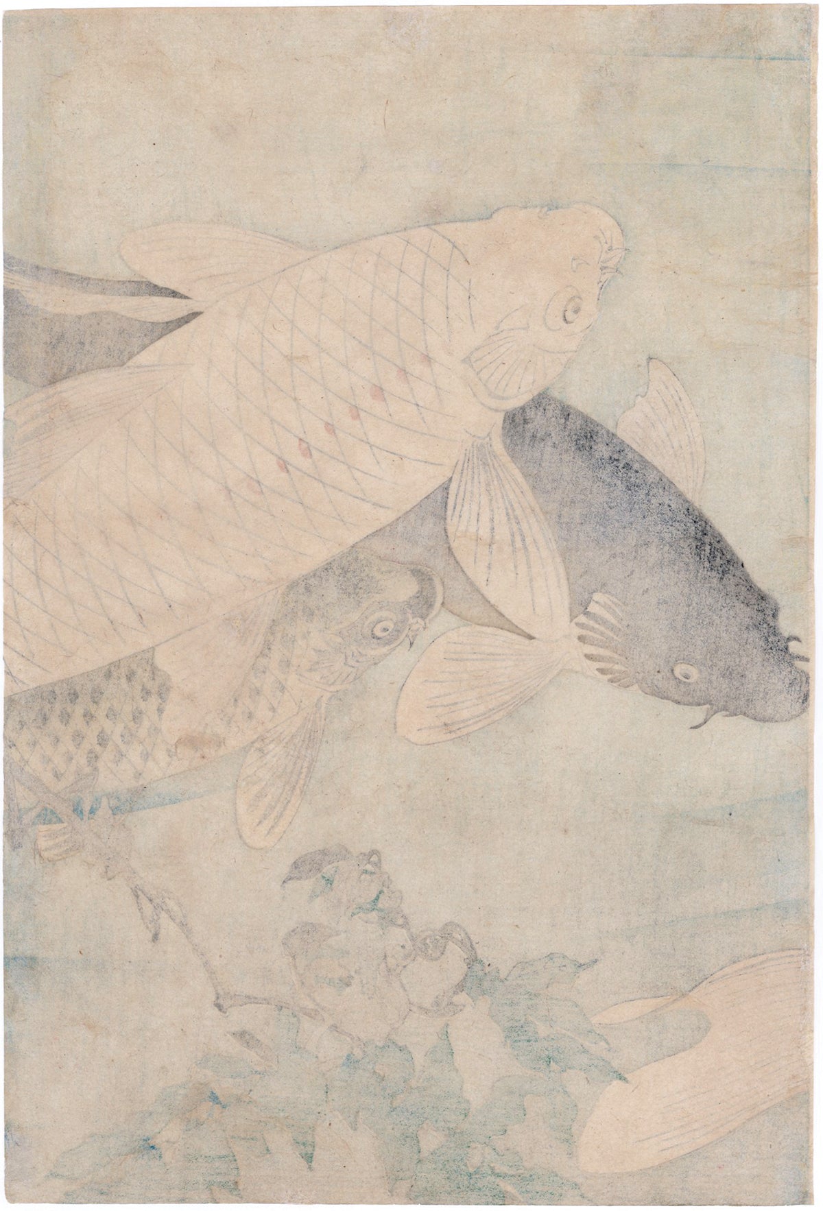 Yoshitoshi 芳年: Triptych of Swimming Carp (SOLD) – Egenolf
