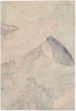 Yoshitoshi 芳年: Triptych of Swimming Carp (SOLD)