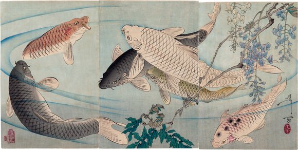 Yoshitoshi 芳年: Triptych of Swimming Carp (SOLD)