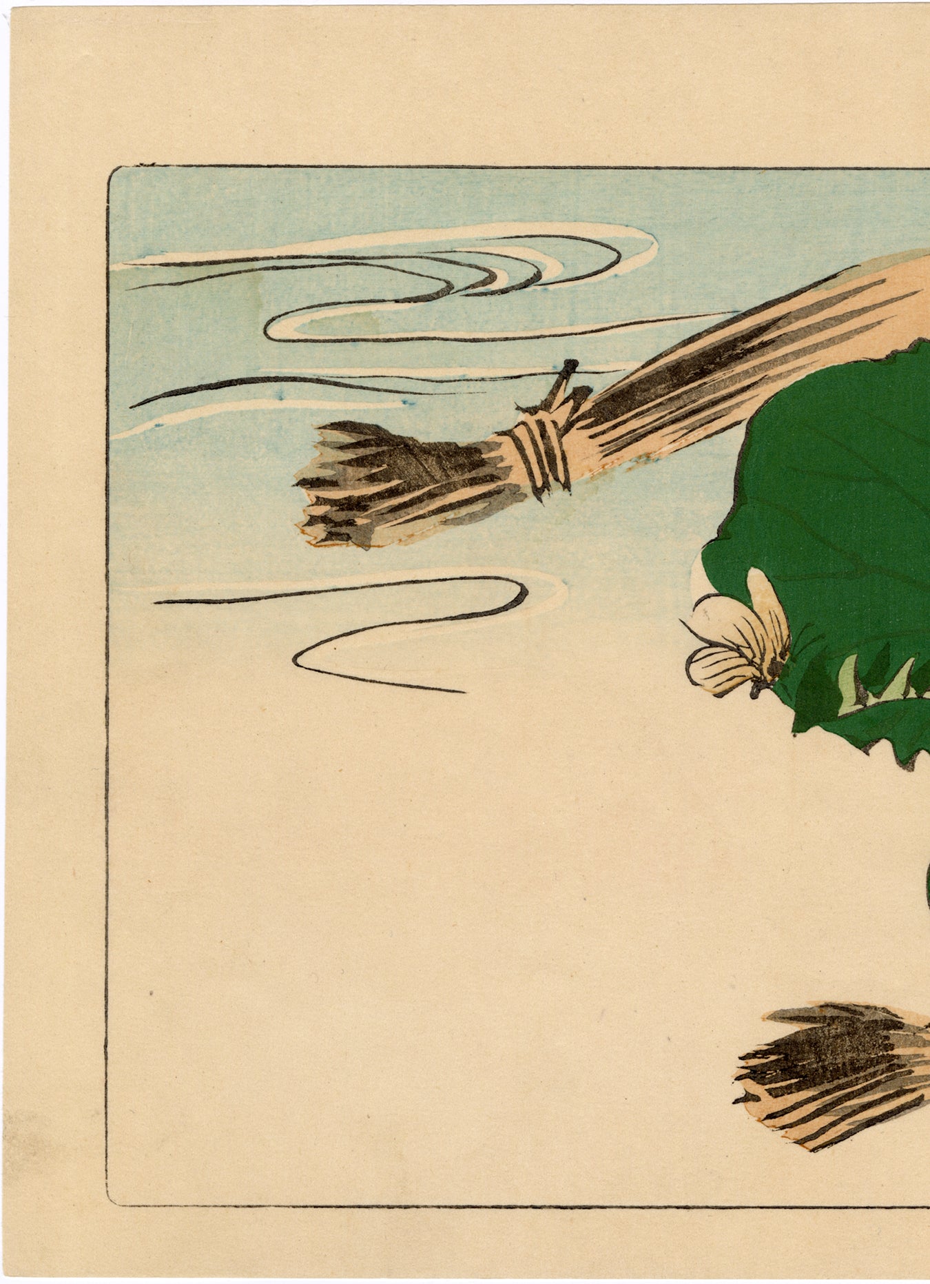 柴田是真 スケッチ集 柴田是真の植物図(柴田是真 [画] ; 横溝廣子, 薩摩雅登 編著