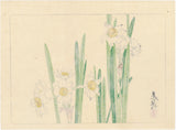 Shibata Zeshin: Blooming Daffodils (Sold)
