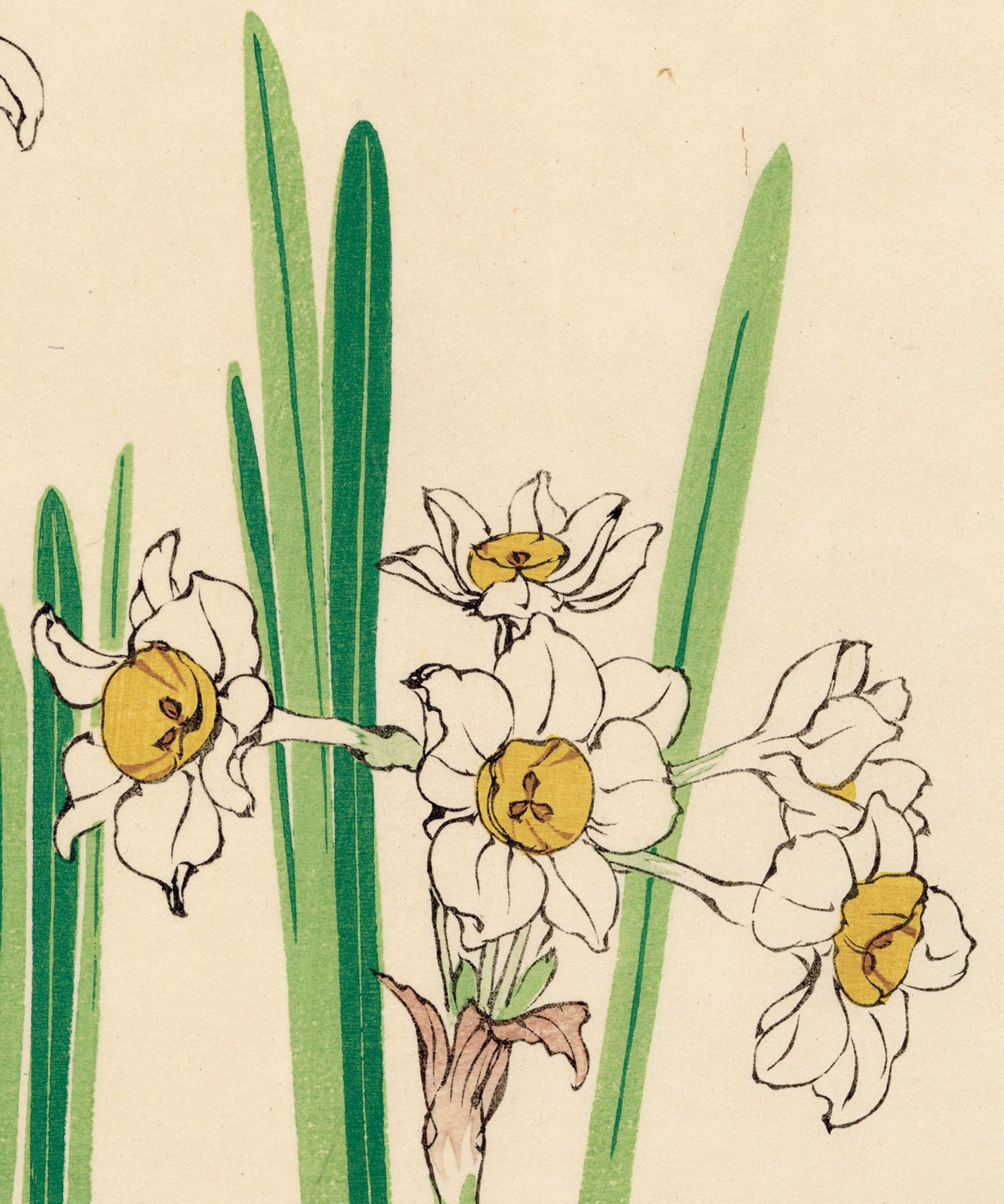 柴田是真：咲く水仙（販売） – Egenolf Gallery Japanese Prints